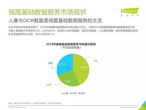 中國(guó)人工智能基礎(chǔ)數(shù)據(jù)服務(wù)行業(yè)報(bào)告 驅(qū)動(dòng)軟件開(kāi)發(fā)的未來(lái)引擎